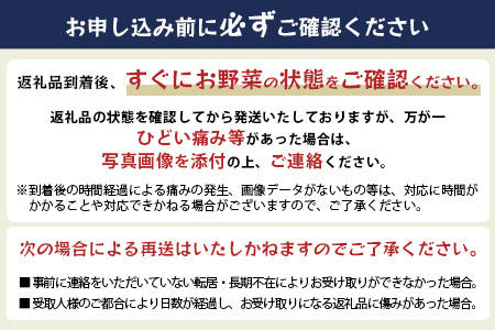 【生産者直送】鹿島市産　生産者おまかせ野菜２回定期便（夏５月～７月、秋９～１１月）　B-739