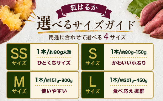 【先行予約：11月下旬配送～】熟成 さつまいも 紅はるか 3kg Mサイズ (美味しい焼き芋の焼き方 説明書付き） FR-213 ｜ 秋の味覚 2026年秋収穫 貯蔵 長期熟成 糖化 さつまいも サツ