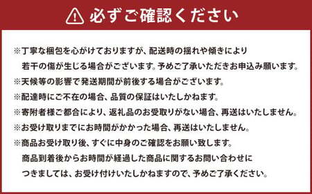 熊本県産 柑橘果物食べ比べセット 4種以上 【2027年1月上旬発送開始】 果物 フルーツ 柑橘 おまかせ 旬 旬のフルーツ