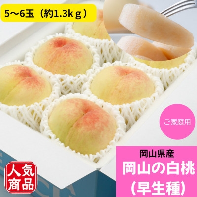 
                  ＜2027年発送＞ご家庭用　岡山の白桃(早生種)　約1.3kg(5～6玉)_白桃 桃 もも モモ 早生種 1.3kg 5玉 6玉 家庭用 自宅用 果物 くだもの フルーツ デザート 岡山県 津山市 産直 産地直送 送料無料【1614302】
                