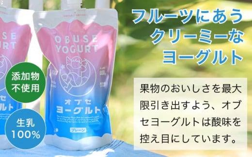 オブセヨーグルト (プレーン＋加糖) 2個とオブセ牛乳 500ml 紙パック 2本 セット［オブセ牛乳］ 牛乳 ミルク 生乳 ヨーグルト 乳製品 食品  お取り寄せ グルメ 生乳100% 朝食 スイー