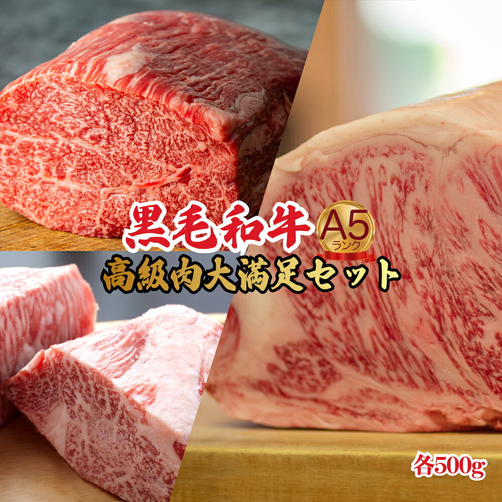 【ふるさと納税】黒毛和牛 A5 ブロック肉 1.5kg モモ・ヒレ・サーロイン 各500g 国産和牛 A5ランク 牛肉 冷蔵 ブロック ステーキ 焼肉 ローストビーフ ヒレステーキ サーロインステーキ セット ふるさと納税 人気 贅沢 高評価 新年 迎春 セット 商品 満足