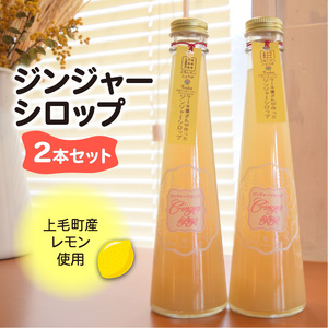 【上毛町産レモン使用】ジンジャーシロップ 2本セット_KT0402