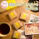 【ふるさと納税】青島パイナップルケーキ 6個入り×1箱 手作り ケーキ 完熟 パイナップル フルーツ 果物 果実 甘味 スイーツ お菓子 おやつ お土産 手土産 宮崎県 宮崎市 送料無料