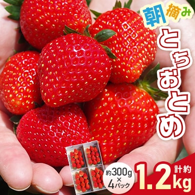 【先行予約】朝摘みとちおとめ　約1200g　2026年12月～発送開始【配送不可地域：離島・沖縄】【1328045】