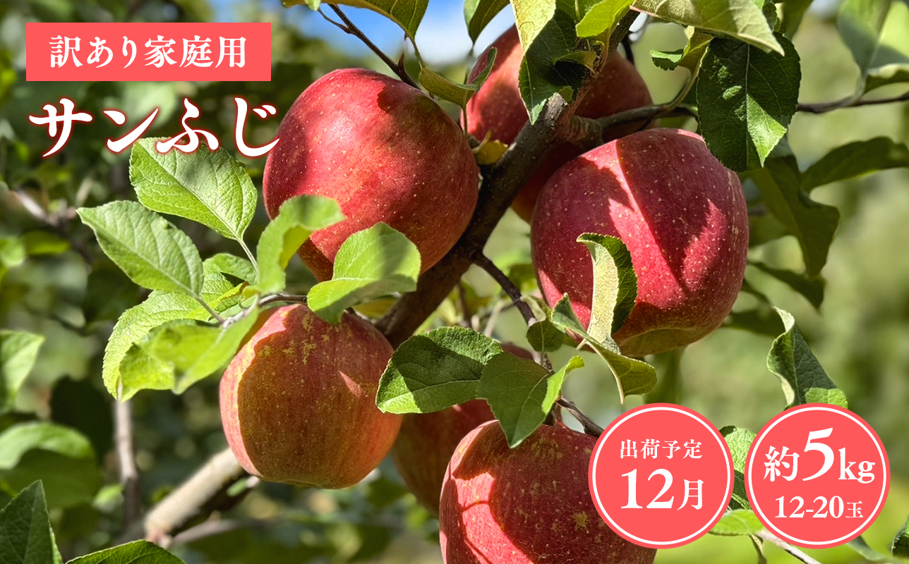 ≪令和8年産先行受付≫12月発送! 訳あり 家庭用サンふじ約5kg【青森県 平川市 山内ファーム】家庭用 平川市産 青森りんご りんご リンゴ 林檎 ふじ 訳あり 家庭用 お取り寄せ 先行予約 果物 くだもの フルーツ