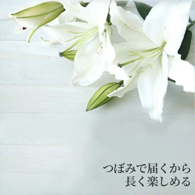 【百合の王様】【未開花/長持ち】農林水産大臣賞を受賞したフローリストがアレンジする“純白のカサブランカ”【 花 お花 神奈川県 小田原市 お花】