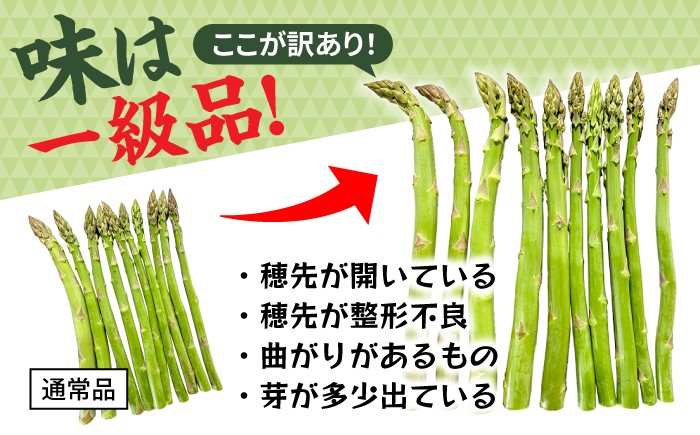アスパラガス アスパラ 野菜 やさい 訳あり 期間限定