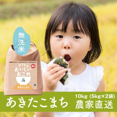 ふるさと納税 稲敷市 【令和7年産・自家栽培・自家精米・農家直送】稲敷市産あきたこまち10kg(5kg×2袋)無洗米