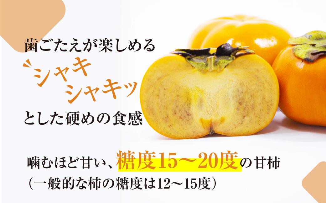 ≪先行予約≫次郎柿　自家用 5kg
