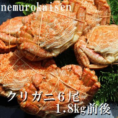 ふるさと納税 根室市 &lt;12/21まで年内配送&gt;★クリガニ6尾(計1.8kg前後) C-57037