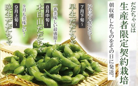 令和7年産　朝採りだだちゃ豆（晩生）700gと小なす丸漬240g（120g×2）セット
