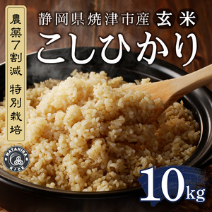 a40-107　新米　令和７年産 農薬7割減 特別栽培 コシヒカリ 玄米 10kg（5kg×2袋）