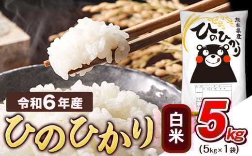 令和6年産  白米 ひのひかり 5kg 《7-14営業日以内に出荷予定(土日祝除く)》熊本県産 ふるさと納税 精米 ひの 米 こめ ふるさとのうぜい ヒノヒカリ コメ お米 おこめ