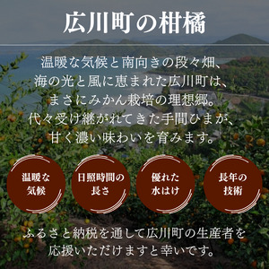 有田 みかん 10kg M・L / 温州みかん 有田みかん 甘い 和歌山 柑橘 ※12月上旬～1月上旬に順次発送 【ymk004-10-mlA】