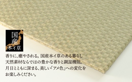 【垂井ブランド】ふわっと畳（あおら） イ草 ヘリ無し 6枚｜たたみ マット 置き畳 ユニット畳 琉球畳 国産 天然素材 薄型 軽量 フローリング 新築 リフォーム 防災