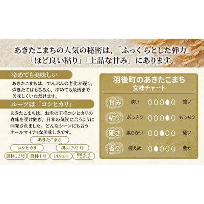 ふるさと納税 羽後町 【令和7年産】定期便 秋田県産あきたこまち 5kg×1袋 全3回[No.5325-0382] |  | 02