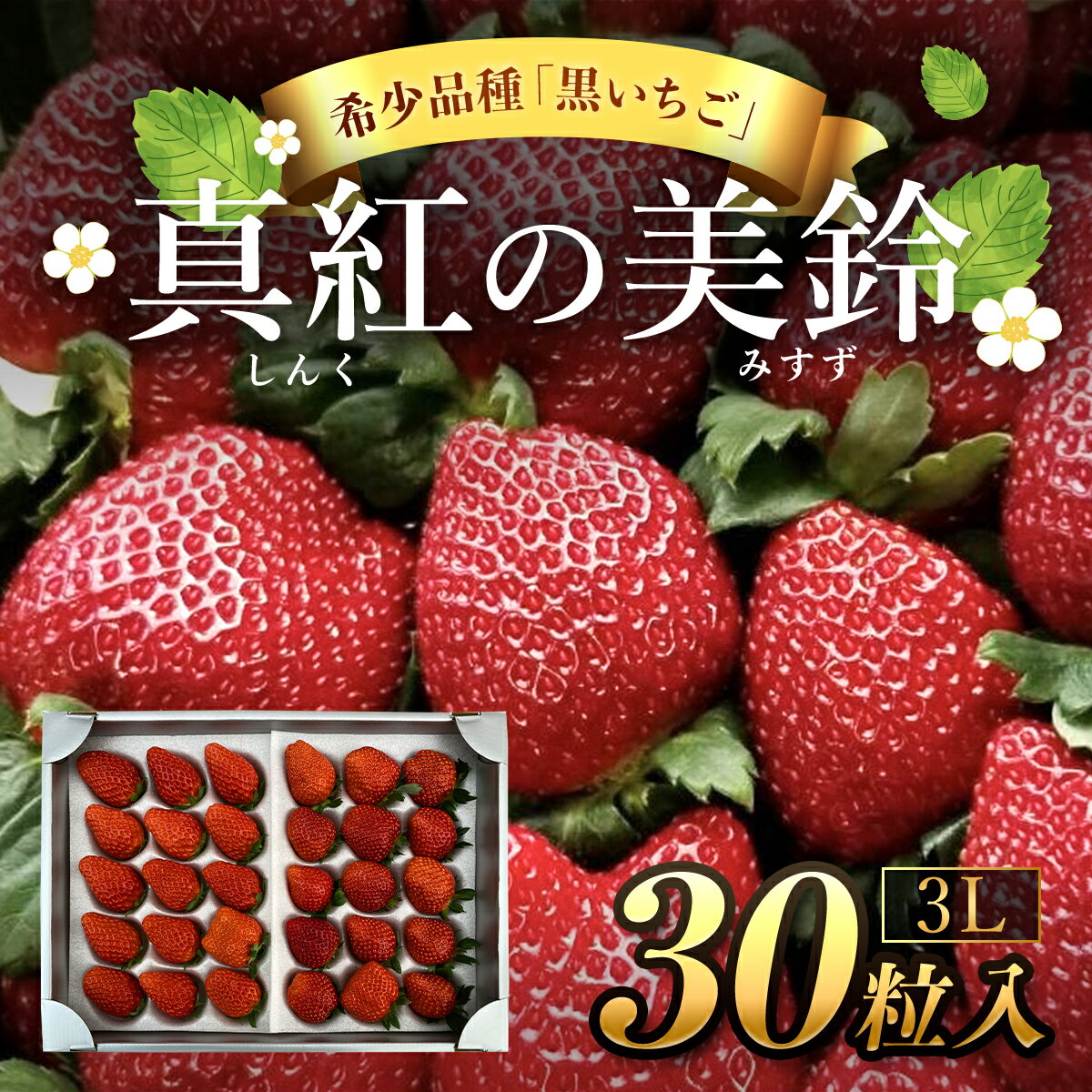 【ふるさと納税】【先行予約】【2025年12月中旬より順次発送】希少品種 黒いちご 真紅の美鈴 3L30粒入り／ 真紅の美鈴 苺 粒 濃厚 果汁 希少 しんくのみすず いちご イチゴ 美味しい 贈答 ギフト お取り寄せ 送料無料 千葉県 SMAN002