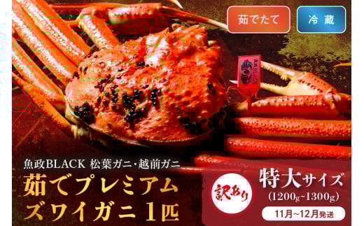 訳あり　【蟹の匠 魚政】茹で　プレミアムズワイガニ 魚政BLACK（松葉ガニ・越前ガニ） 特大サイズ（1200～1300g） 1匹【11月～12月発送：平日】　UO01316