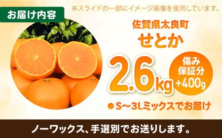 【2027年2月中旬以降発送】【訳あり】せとか 計3kg（2.6kg＋400g傷み保証分） S-3Lサイズ / 佐賀県 / 山本農園 [41ATBT010]