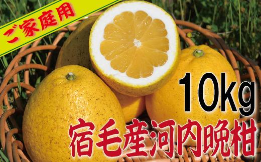 
                  宿毛産河内晩柑家庭用10kg
                