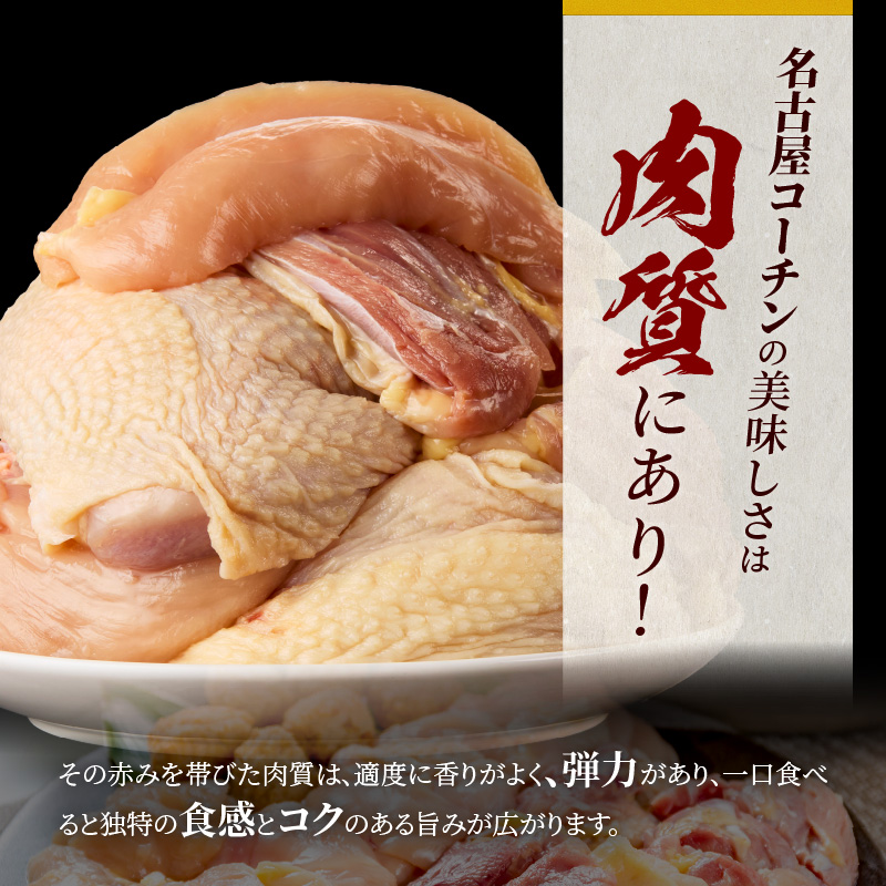 【半年に1回　計2回定期便】名古屋コーチン鍋&名古屋コーチン1羽分セット・名古屋コーチン焼鳥セット