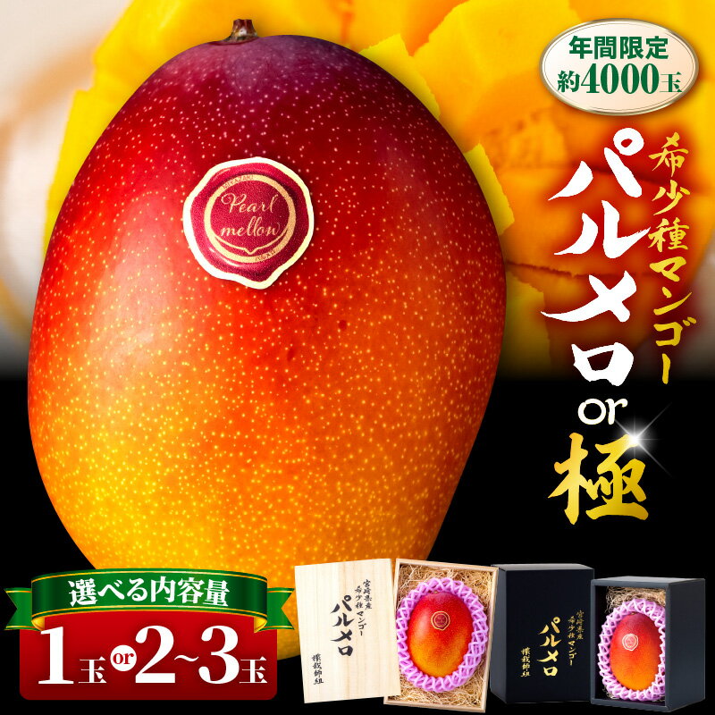 【ふるさと納税】《2026年発送 先行予約》【選べる内容量】【数量・期間限定】宮崎県産 希少種マンゴー パルメロ ・ (極)パルメロ マンゴー 完熟マンゴー 果物 フルーツ スイーツ デザート ご褒美 贈り物 贈答 化粧箱 希少 甘み 新鮮 冷蔵 檬栽師組 高糖度 グルメ 宮崎市