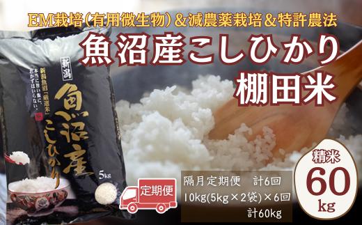 【令和7年産】農家直送の棚田米 魚沼産コシヒカリ 精米 合計60kg 定期便 5kg2袋×6回(隔月お届け) 佐藤農場 | 新潟県産 コシヒカリ お米 米 おこめ こめ コメ こしひかり 魚沼産 ブランド米【0018-0004DB00-02】