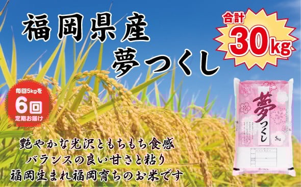 
            【定期便全6回】【令和7年産新米予約】【食味鑑定士厳選】福岡県産 夢つくし5kg (5kg×1袋) 合計 30kg
          