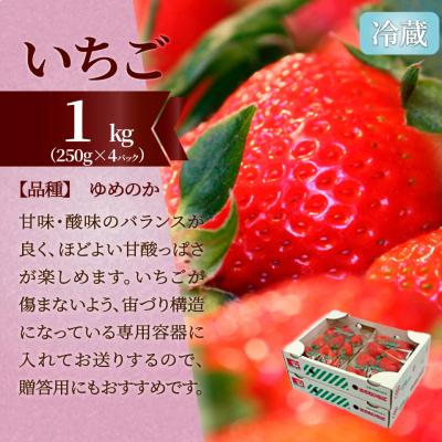 ふるさと納税 佐川町 (全3回)フルーツ定期便　焼き栗　梨　苺 |  | 01