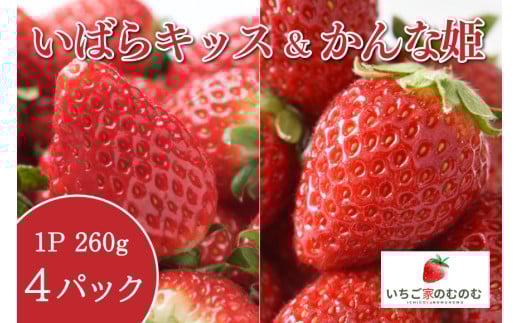
            いちご いばらキッス 2p ＆ かんな姫 2p 計4p いちご家のむのむ イチゴ 苺 4パック 国産 果物 フルーツ くだもの 1月 2月 発送 冬 旬 産地直送 農家直送 産直 甘い デザート スイーツ 家庭用 贈答 贈答用 茨城 茨城県 石岡市 (A28-005)
          