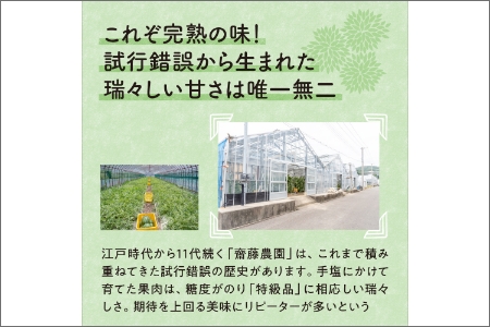 【0248-2】斎藤農園ブランド「ビクトリーメロン」アールスメロン（マスクメロン）2玉3kg程度≪先行予約2026年6月下旬以降発送分≫