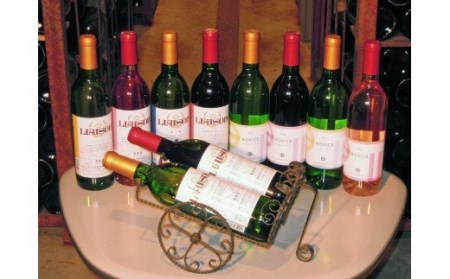 日川中央葡萄酒からのお楽しみ定期便 017-007