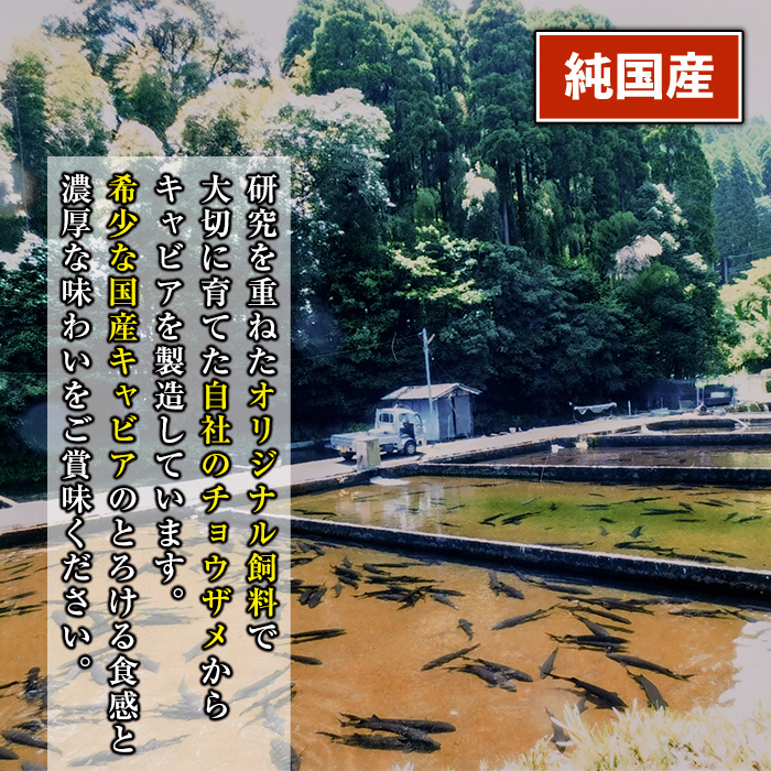 isa557 【伊佐の日・寄附額改定】〈毎月数量限定〉おまかせフレッシュキャビア(15g×1種)＆チョウザメスモーク(100g×1P)セット 国産 詰合せ 魚卵 白身 おつまみ 世界三大珍味 加工品 冷凍 冷凍便 セット【小田原養魚】