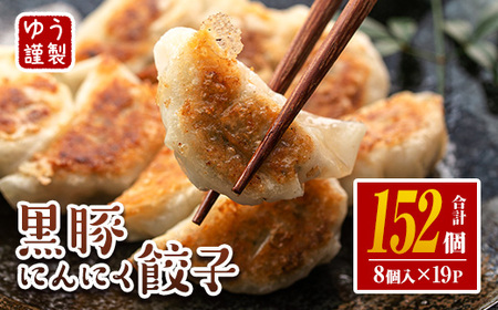 isa781 2025年12月発送分 黒豚 にんにく餃子 計152個 8個入り 19P 【工房ゆう】