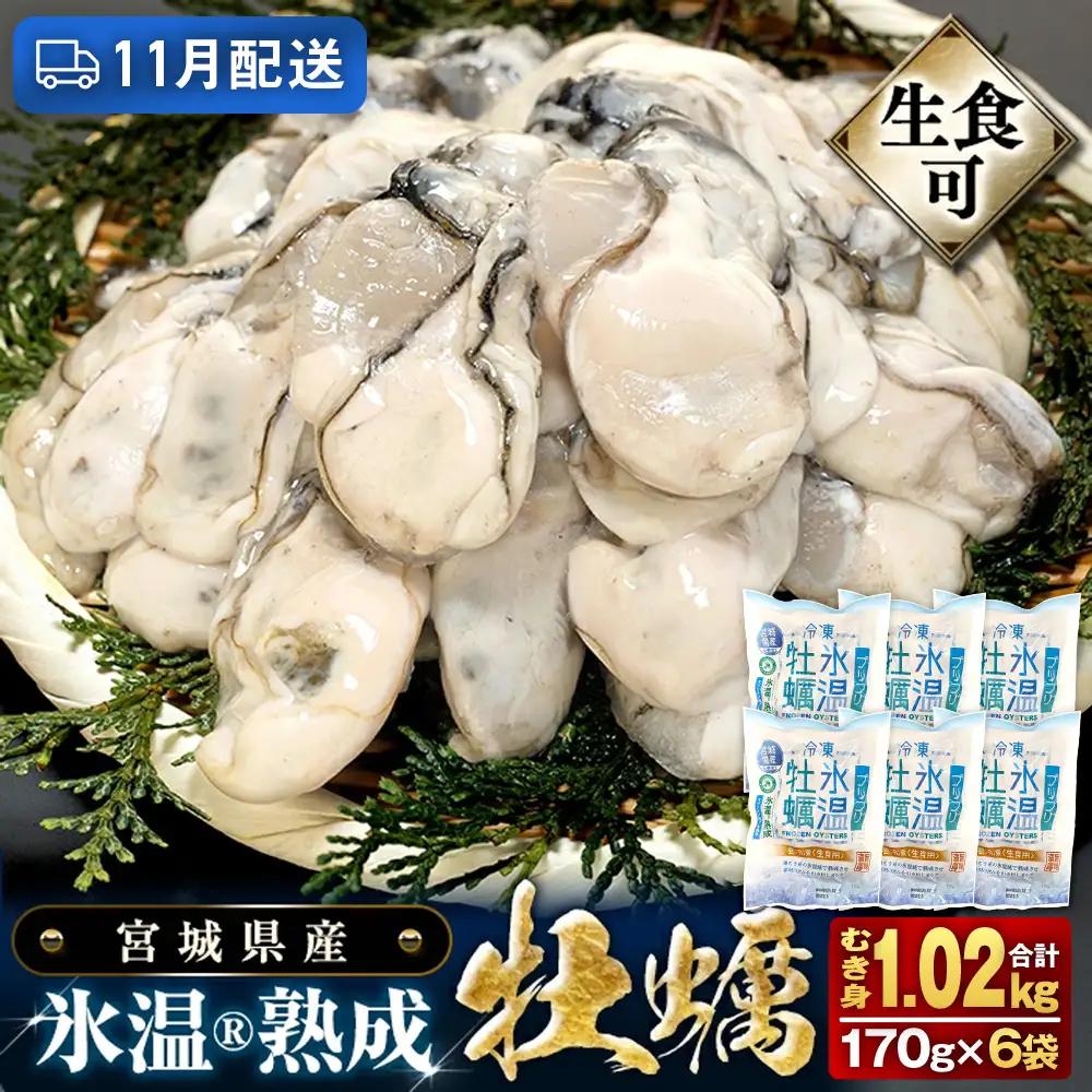 【11月配送】牡蠣 生食用 170g×6袋 (約1kg) 牡蠣むき身 氷温熟成 冷凍 まるたか水産