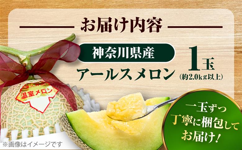 【数量限定30セット】神奈川県産 津久井浜 温室メロン アールスメロン 大玉 糖度16度前後 約2.0kg以上 1玉【小林マルモ農園】 [AKJG001]