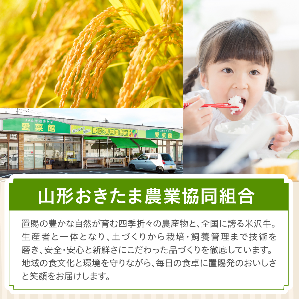 令和7年産 山形県産 雪若丸 無洗米 10kg ( 5kg × 2袋 ) 白米 2025年産 産地直送 山形県 米沢市