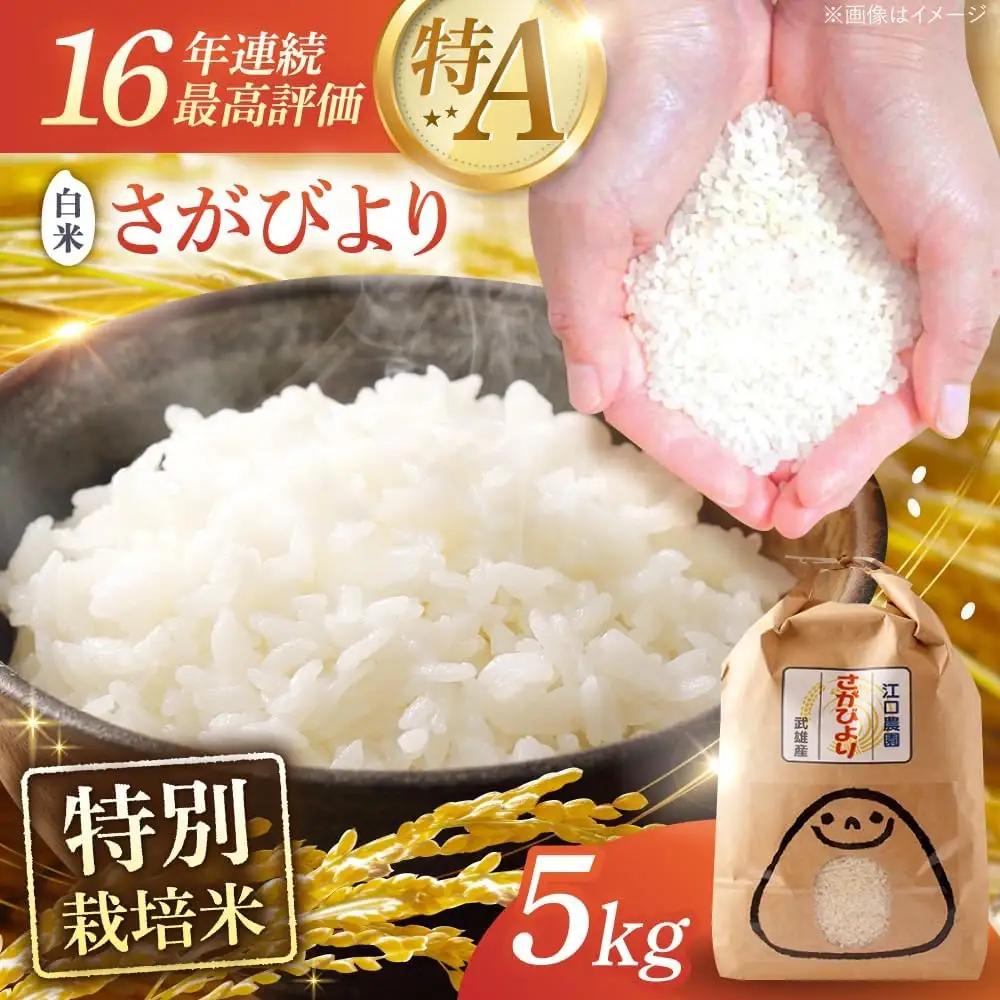 白米さがびより 白米5kg [UBF003]