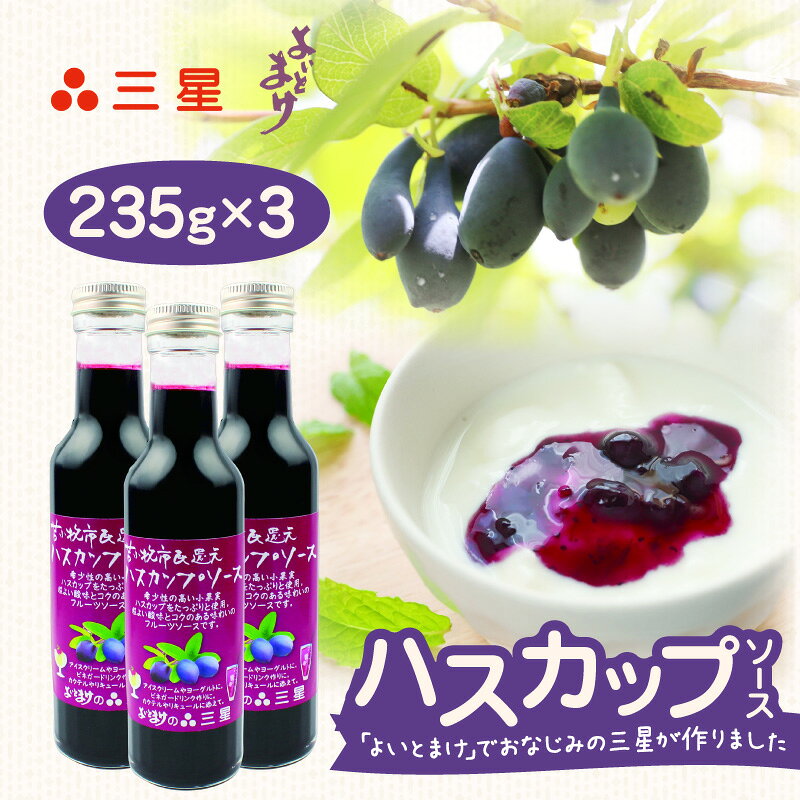 【ふるさと納税】 カナダ産 市民還元 ハスカップ ソース 235g 3瓶 バニラアイス ヨーグルト フレーバー カクテル ビネガードリンク リキュール フルーツソース 甘い 美味しい 三星 北海道 苫小牧市 おすすめ ランキング プレゼント ギフト