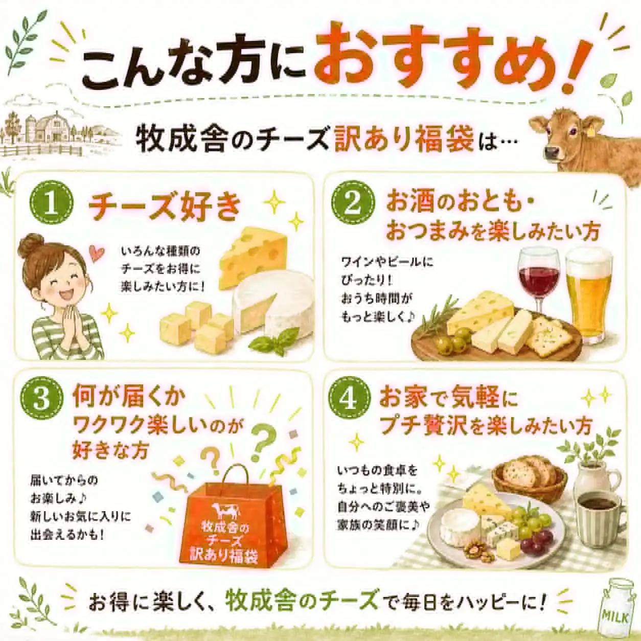 訳ありチーズ福袋 牧成舎 福袋 [Q3241]