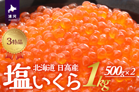 塩いくら3特品(500g×2箱)[02-499]