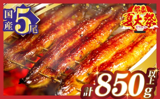 ≪都農夏大祭!!≫【令和8年9月発送】うなぎ蒲焼5尾(さんしょう・たれ付き)計850g以上 鰻 魚 魚介 加工品 国産_T026-0036-ZO-09