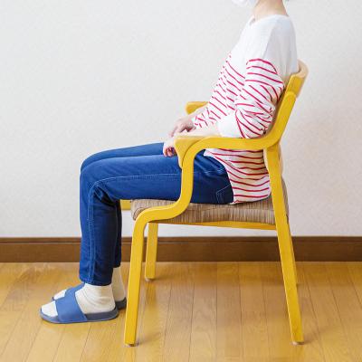 ふるさと納税 高原町 姿勢保持用チェア『シーセイ』1脚[介護 バリアフリー 腰痛 糜爛 粉瘤]　TF778 |  | 01