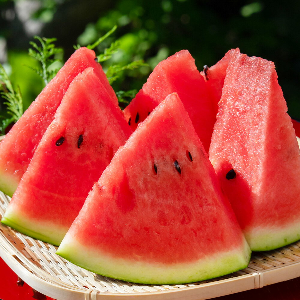 【ふるさと納税】＜選べる内容量＞大玉すいか 3L以上 1玉（約8kg） / 2玉（約16kg） すいか スイカ 西瓜 フルーツ くだもの 果物 果実 デザート 熊本県産 国産 九州 熊本県 益城町 送料無料 【2026年5月上旬～6月下旬発送予定】