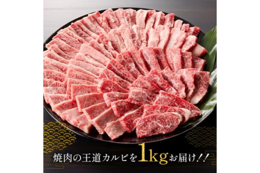 【7営業日以内発送】 飛騨牛カルビ1kg（500g×2）【0016-055】