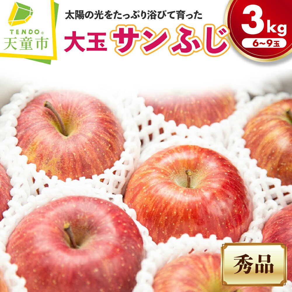 【ふるさと納税】 大玉 りんご ( サンふじ ) 3kg ふじ リンゴ 果物 フルーツ 秀 のし 贈答 ギフト プレゼント おすそ分け お取り寄せ 期間限定 送料無料 先行予約 【 山形県 天童市 】