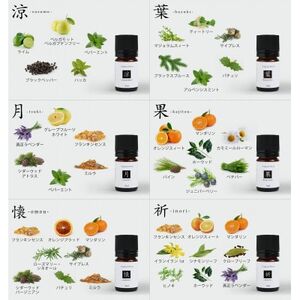 【発送月固定定期便】ease12ヶ月のブレンドオイル　5ml×3本　+ストーンMONO　1個全4回【配送不可地域：沖縄県】【4050206】