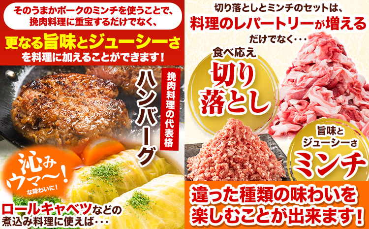 【3ヶ月定期便】 豚肉 切り落とし ＆ ミンチ ハーフセット 1.8kg 豚 細切れ こま切れ 豚こま 豚小間切れ 豚しゃぶ 小分け 訳あり 訳有 ひき肉 うまかポーク 傷 規格外 ぶた肉 ぶた 真空