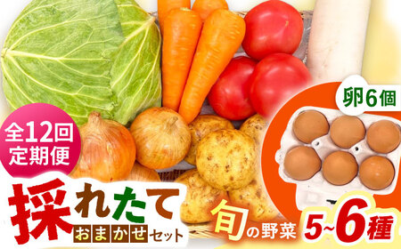 【全12回定期便】採れたてお野菜おまかせ（5～6種）・卵6個セット/ 野菜 やさい 野菜セット 野菜詰め合わせ 詰め合わせ セット たまご 卵 タマゴ 紅たまご こだまさんち / 大村市 / かとりストアー[ACAN132]